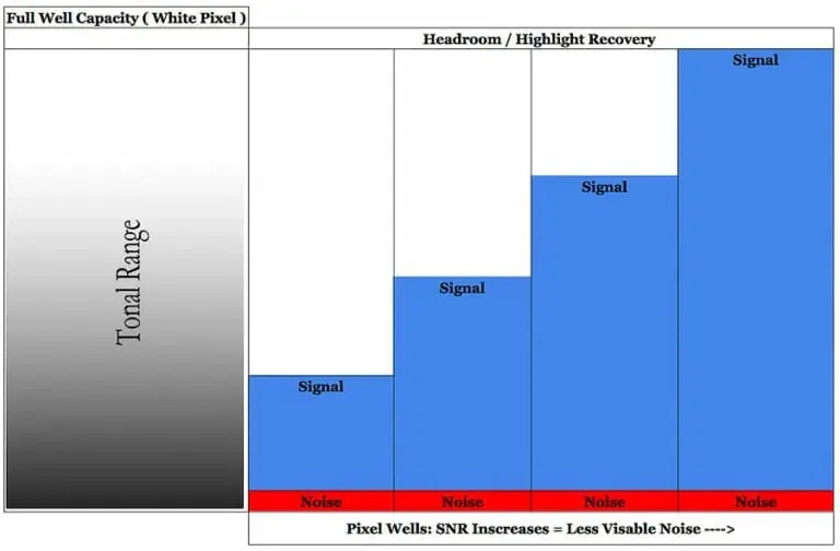 Camera Sensor Size Pixels Signal to Noise Ratio Photog